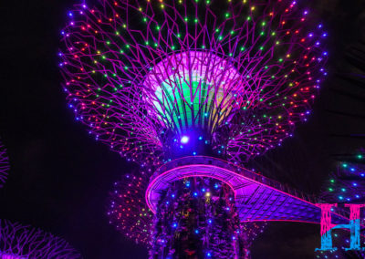 Day48_Singapore41