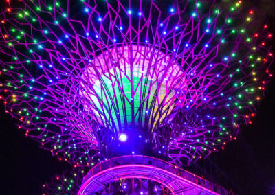 Day48_Singapore42