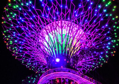 Day48_Singapore43