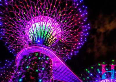 Day48_Singapore45