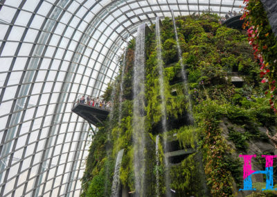 Day48_Singapore5