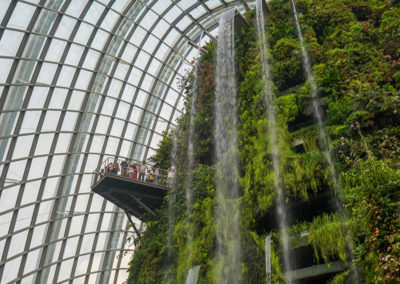 Day48_Singapore6