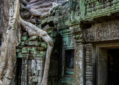 Day50_Cambodia100