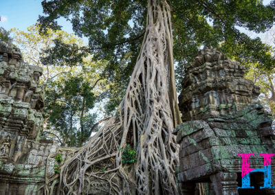 Day50_Cambodia109