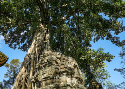 Day50_Cambodia111