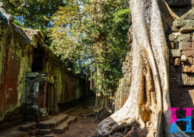 Day50_Cambodia117