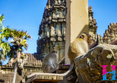 Day50_Cambodia5