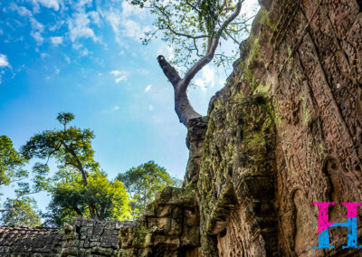 Day50_Cambodia86