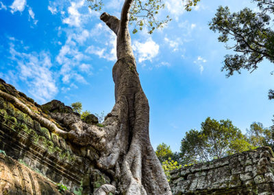 Day50_Cambodia88