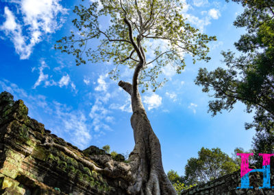 Day50_Cambodia90