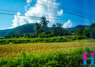 Day55_ChiangMai1