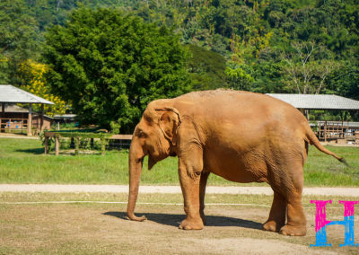 Day55_ChiangMai10