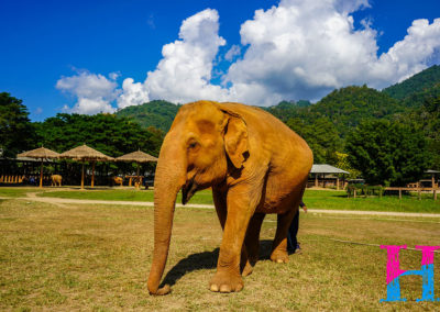 Day55_ChiangMai11