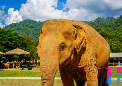 Day55_ChiangMai12