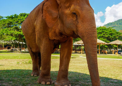 Day55_ChiangMai16