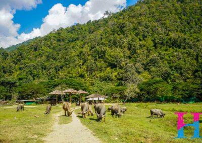 Day55_ChiangMai18