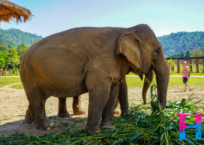 Day55_ChiangMai23