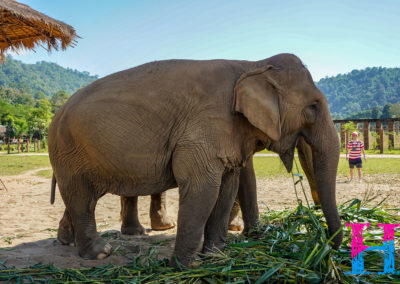 Day55_ChiangMai24