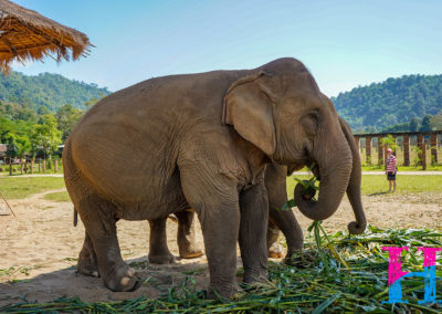 Day55_ChiangMai25