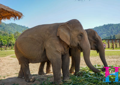 Day55_ChiangMai26