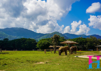 Day55_ChiangMai30