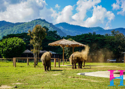 Day55_ChiangMai31
