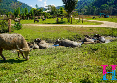 Day55_ChiangMai32