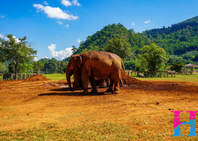 Day55_ChiangMai33