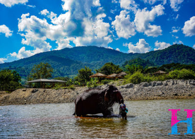 Day55_ChiangMai35