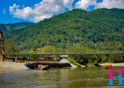 Day55_ChiangMai36