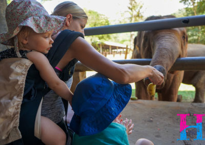 Day55_ChiangMai4