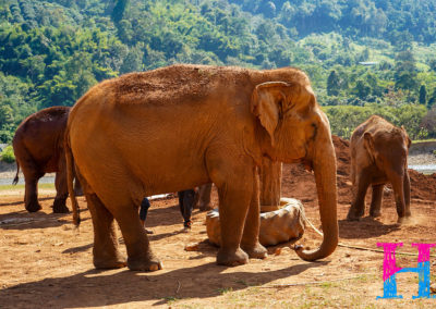 Day55_ChiangMai40