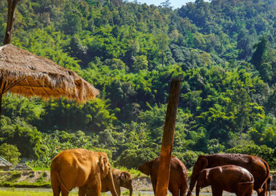 Day55_ChiangMai41