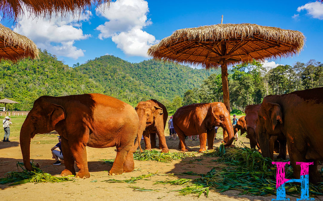 Chiang Mai Thailand
