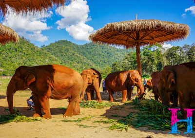 Day55_ChiangMai42