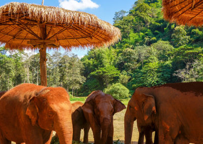 Day55_ChiangMai43