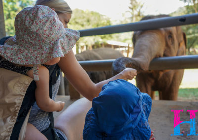 Day55_ChiangMai6