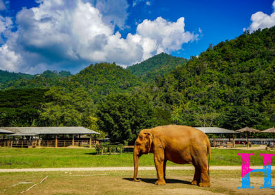 Day55_ChiangMai9
